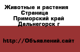  Животные и растения - Страница 3 . Приморский край,Дальнегорск г.